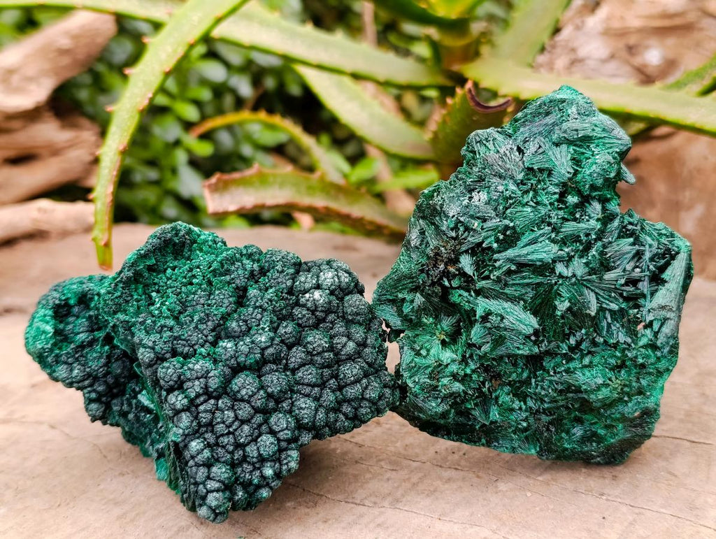 Natural Silky Malachite Specimens x 4 From Kasompe, Congo