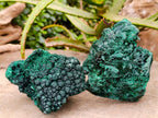 Natural Silky Malachite Specimens x 4 From Kasompe, Congo