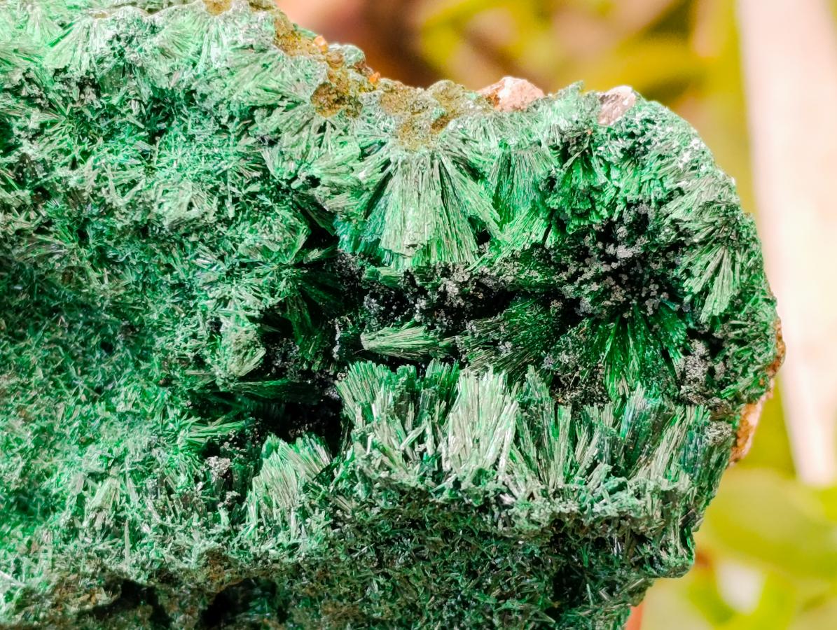 Natural Silky Malachite Specimens x 4 From Kasompe, Congo