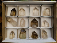 Polished Smokey Phantom Quartz Crystals x 12 From Anjozorobe, Madagascar