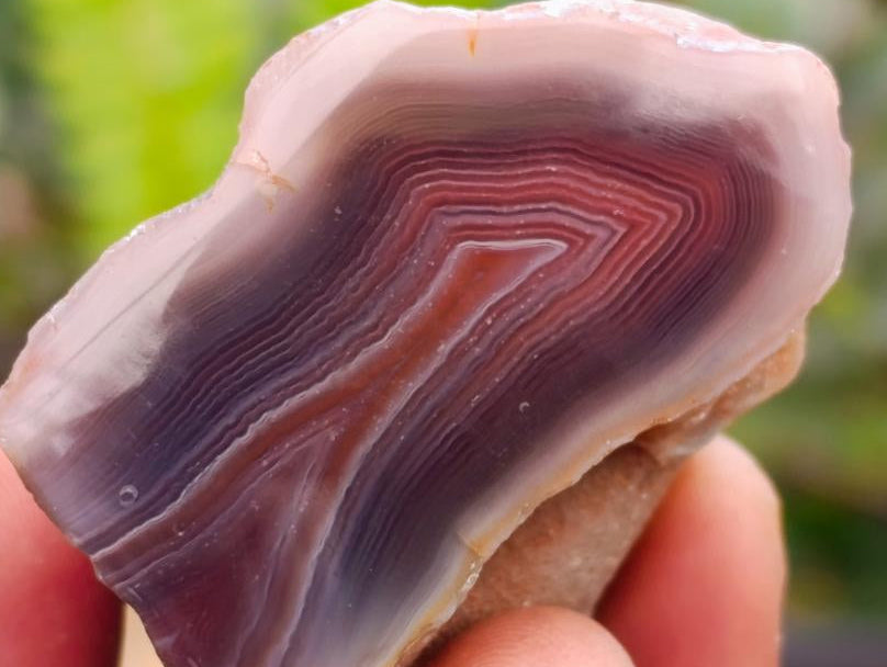 Polished Red Shashe River Agate Nodules x 35 From Shashe River, Zimbabwe