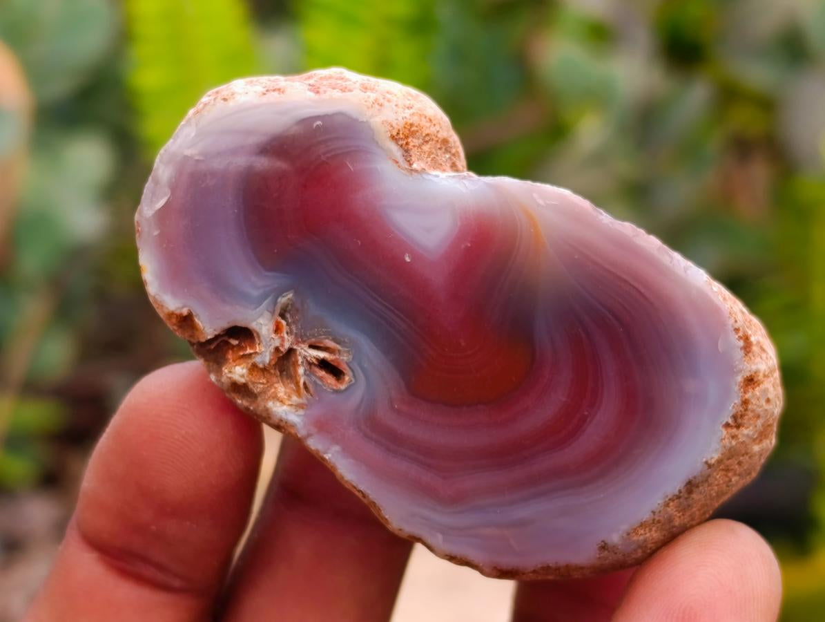 Polished Red Shashe River Agate Nodules x 35 From Shashe River, Zimbabwe