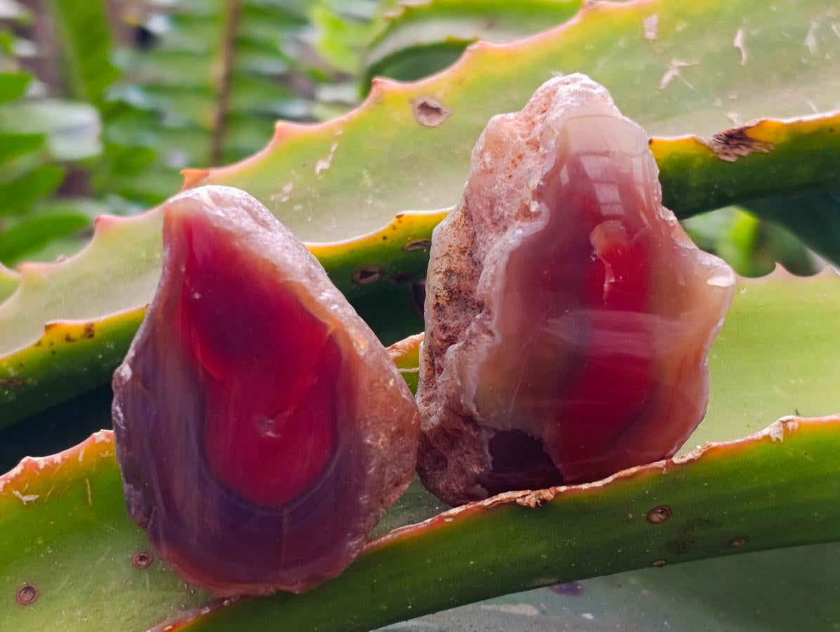 Polished Red Shashe River Agate Nodules x 35 From Shashe River, Zimbabwe