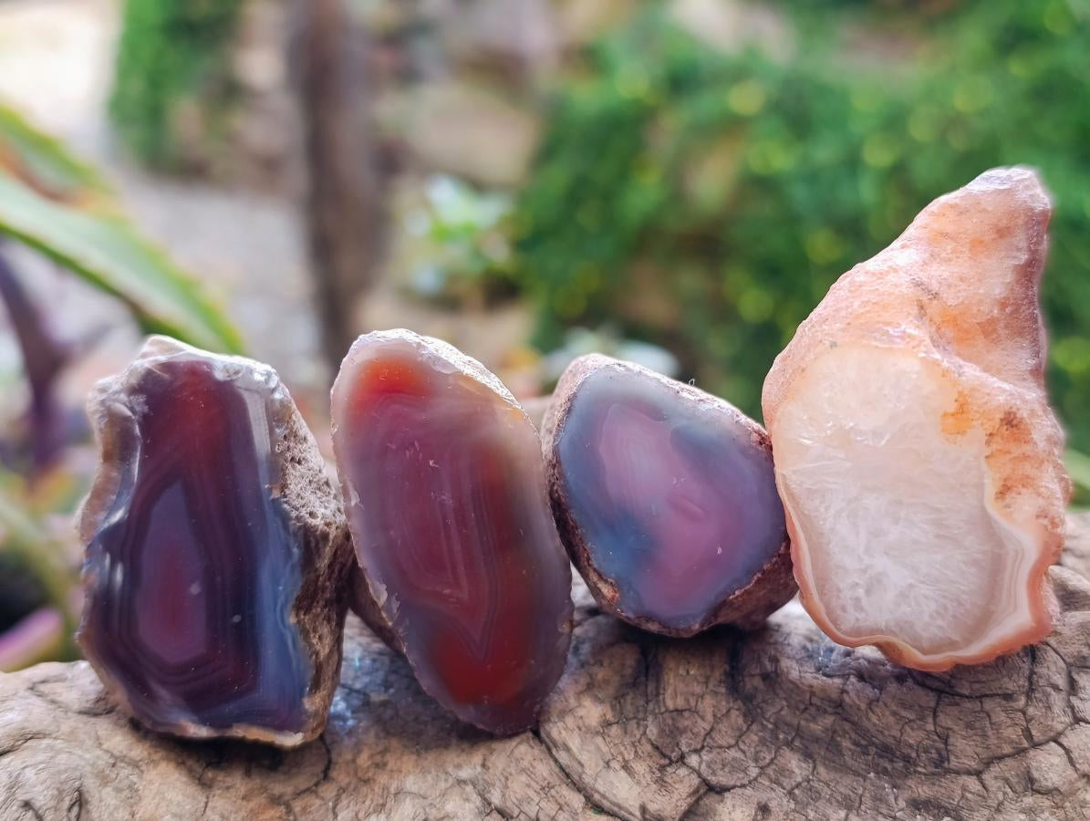 Polished Red Shashe River Agate Nodules x 35 From Shashe River, Zimbabwe