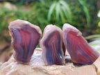Polished Red Shashe River Agate Nodules x 35 From Shashe River, Zimbabwe
