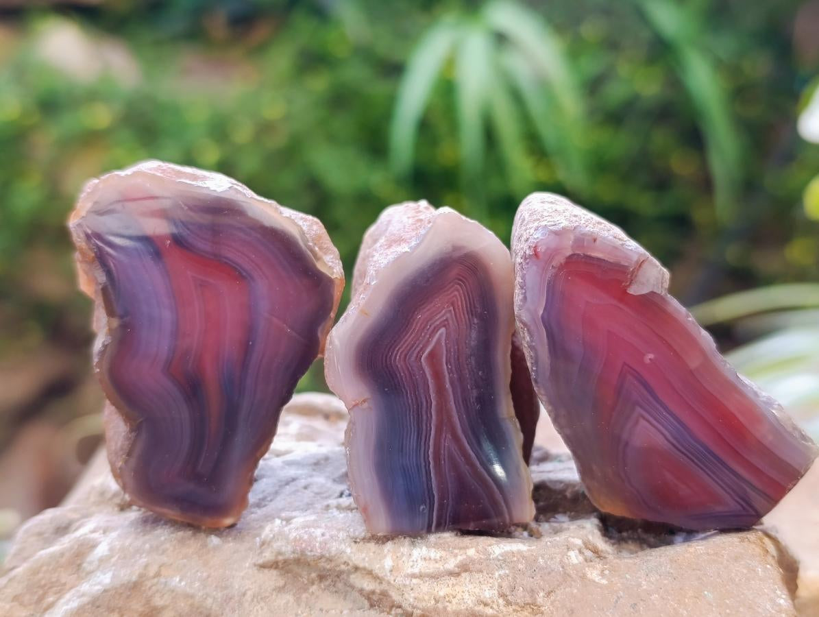Polished Red Shashe River Agate Nodules x 35 From Shashe River, Zimbabwe
