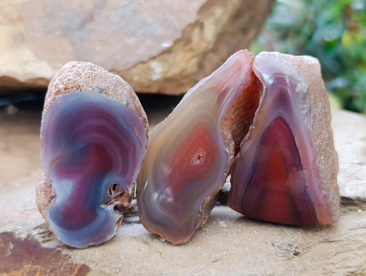 Polished Red Shashe River Agate Nodules x 35 From Shashe River, Zimbabwe