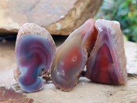 Polished Red Shashe River Agate Nodules x 35 From Shashe River, Zimbabwe