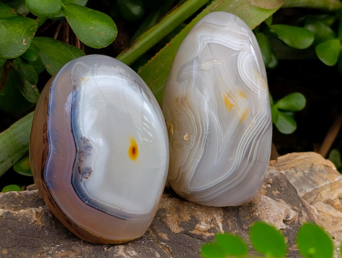 Polished Banded Agate Standing Free Forms x 6 From Madagascar