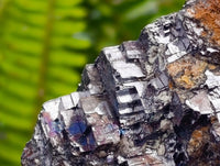 Natural Bright Silver Lead Galena Cobbed Specimens x 6 From Kaokoveld, Namibia