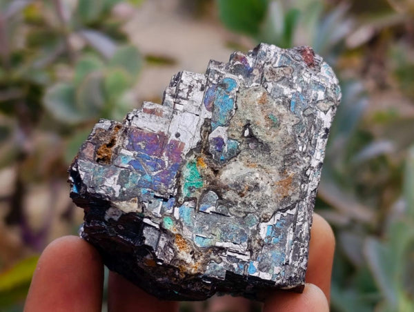 Natural Bright Silver Lead Galena Cobbed Specimens x 6 From Kaokoveld, Namibia