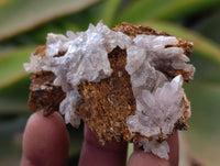 Natural Mix Of Multi Mineral Specimens x 35 From Southern Africa