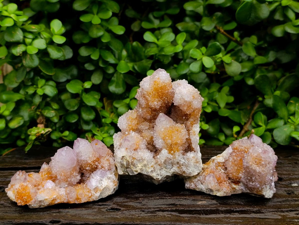 Natural Amethyst and Ametrine Spirit Clusters x 3 From Boekenhouthoek, South Africa - Toprock Gemstones and Minerals 
