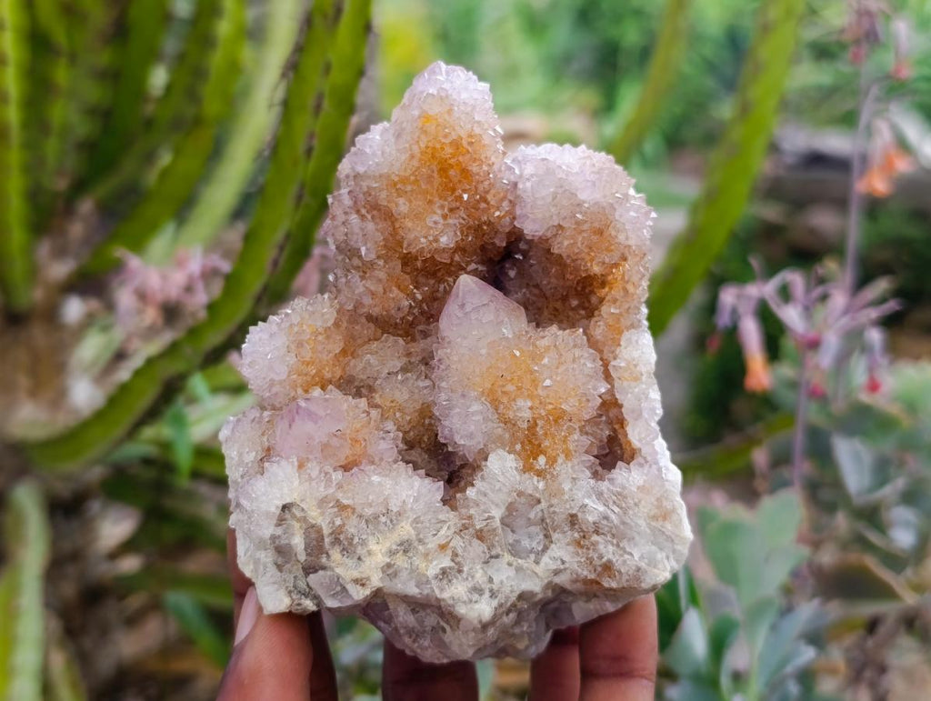 Natural Amethyst and Ametrine Spirit Clusters x 3 From Boekenhouthoek, South Africa - Toprock Gemstones and Minerals 