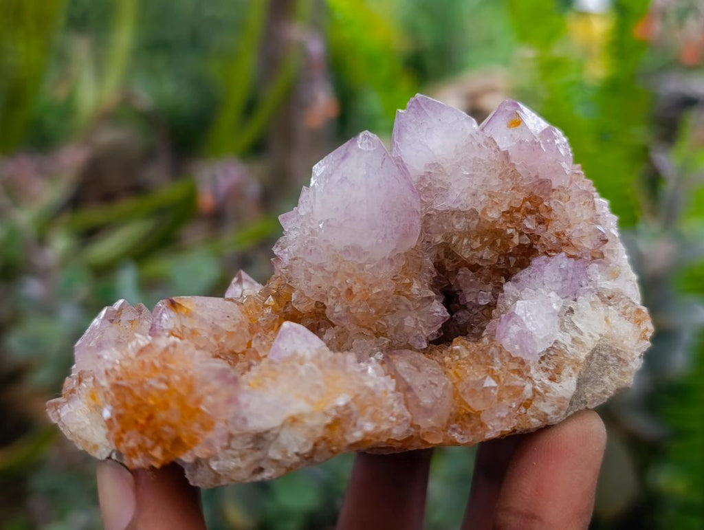 Natural Amethyst and Ametrine Spirit Clusters x 3 From Boekenhouthoek, South Africa - Toprock Gemstones and Minerals 