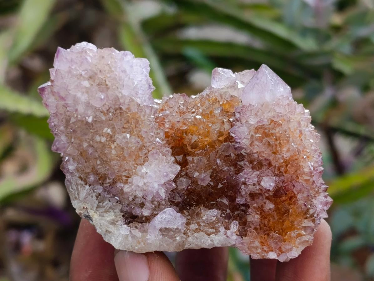 Natural Amethyst and Ametrine Spirit Clusters x 3 From Boekenhouthoek, South Africa - Toprock Gemstones and Minerals 