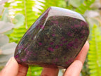 Polished Ruby Corundum in Chrome Verdite Standing and Free Forms x 5 From Zimbabwe