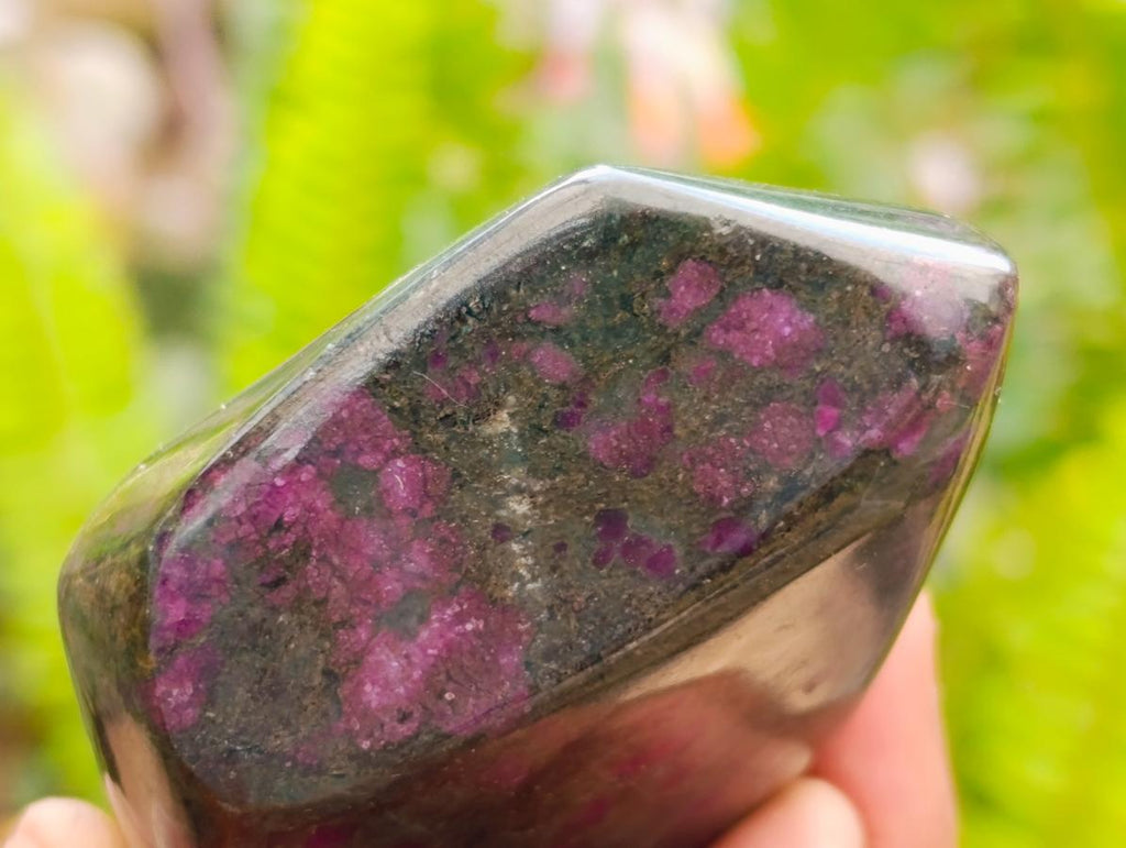 Polished Ruby Corundum in Chrome Verdite Standing and Free Forms x 5 From Zimbabwe