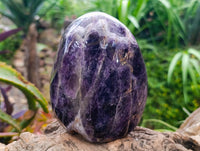 Polished Chevron Amethyst Standing Free Form x 1 From Zambia