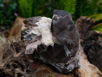 Natural Smokey Quartz Crystals x 3 From Mulanje, Malawi