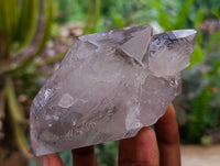 Natural Smokey Quartz Crystals x 3 From Mulanje, Malawi