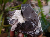 Natural Smokey Quartz Crystals x 3 From Mulanje, Malawi