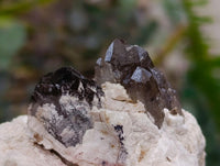 Natural Smokey Quartz Crystals x 3 From Mulanje, Malawi