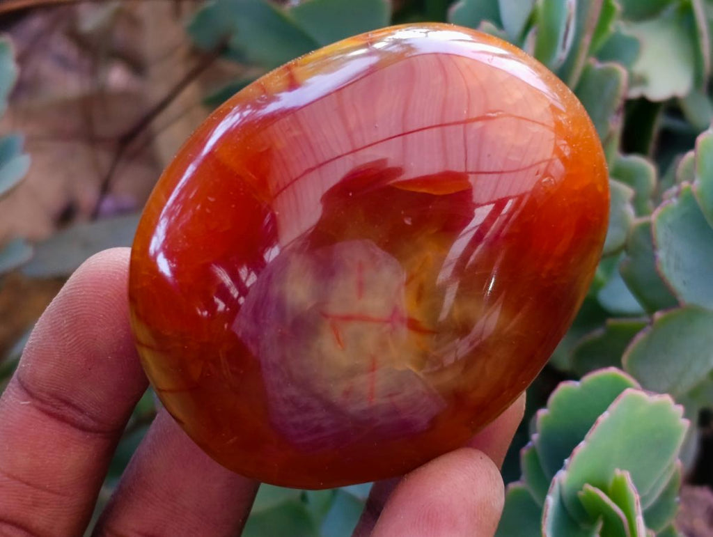 Polished Carnelian Agate Gemstone Galets x 12 From Madagascar
