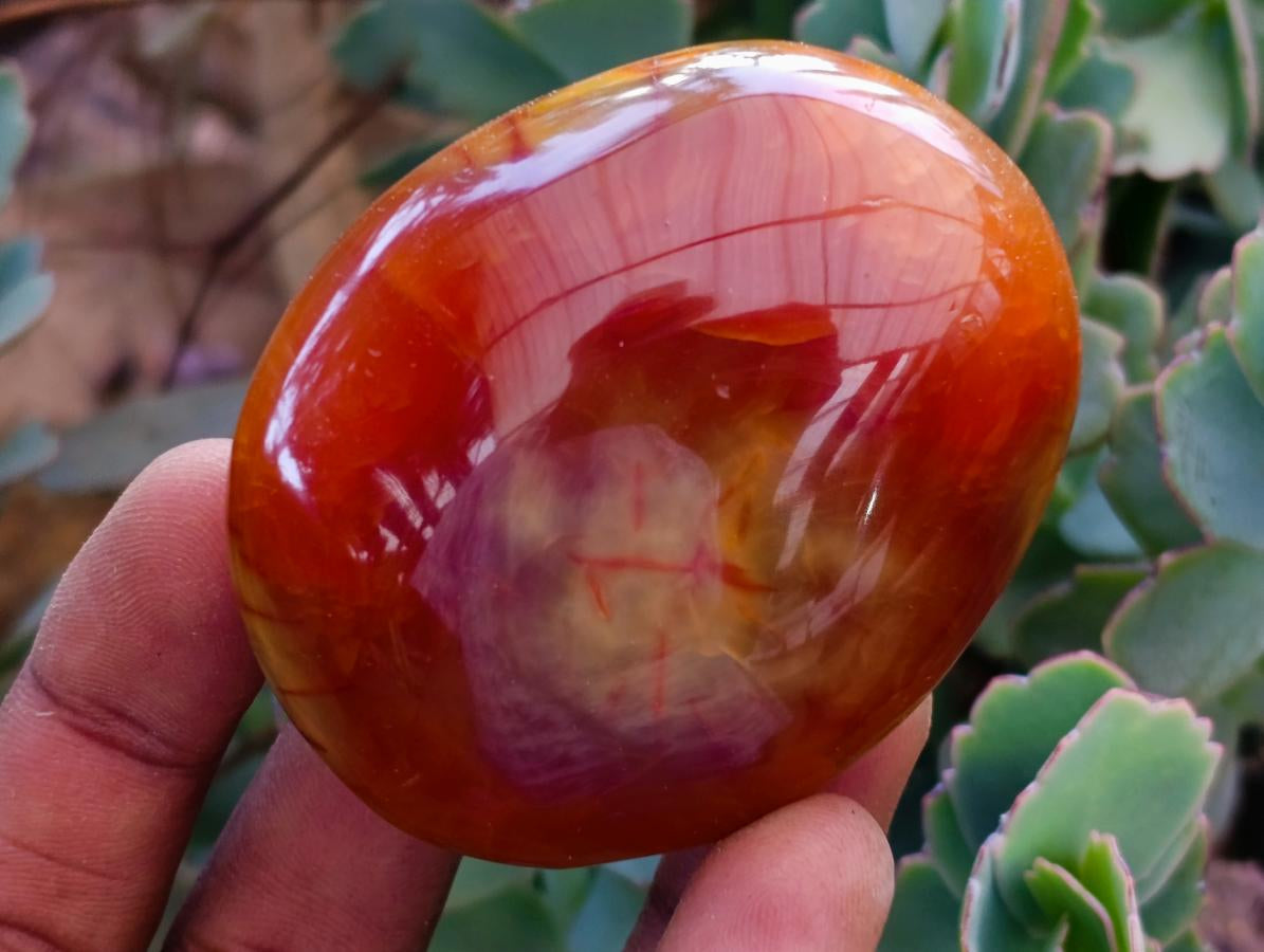 Polished Carnelian Agate Gemstone Galets x 12 From Madagascar