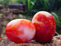 Polished Carnelian Agate Gemstone Galets x 12 From Madagascar
