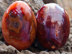 Polished Carnelian Agate Gemstone Galets x 12 From Madagascar