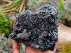 Natural XL Libethenite Crystals On Dolomite Matrix Specimen x 1 From Shituru, Congo