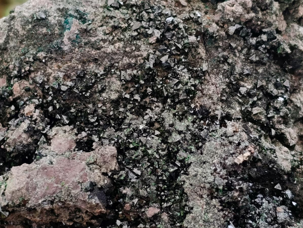 Natural XL Libethenite Crystals On Dolomite Matrix Specimen x 1 From Shituru, Congo