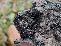 Natural XL Libethenite Crystals On Dolomite Matrix Specimen x 1 From Shituru, Congo