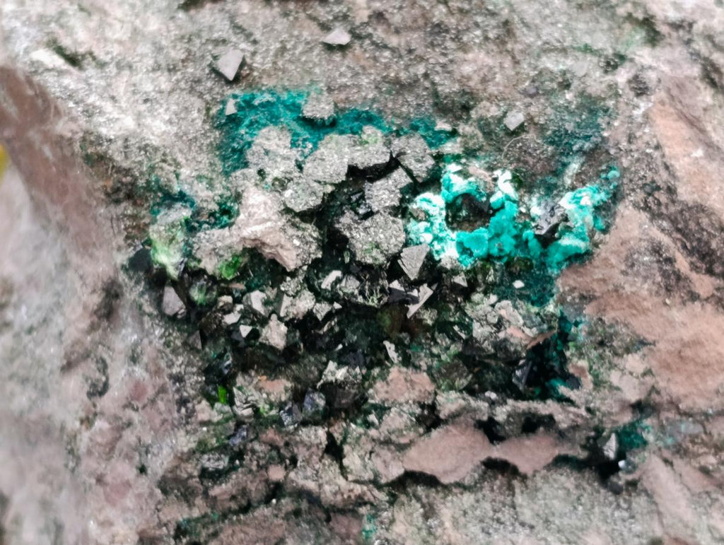 Natural XL Libethenite Crystals On Dolomite Matrix Specimen x 1 From Shituru, Congo