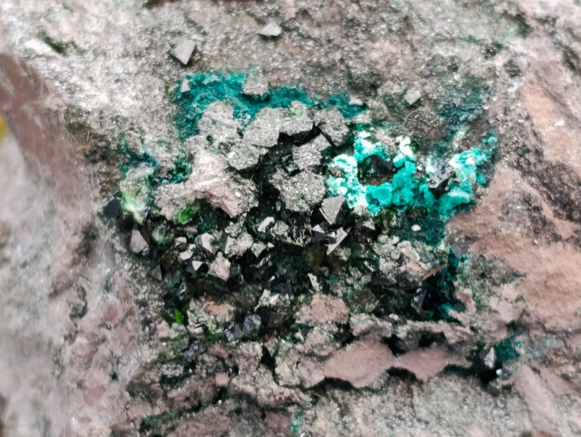 Natural XL Libethenite Crystals On Dolomite Matrix Specimen x 1 From Shituru, Congo