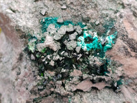 Natural XL Libethenite Crystals On Dolomite Matrix Specimen x 1 From Shituru, Congo