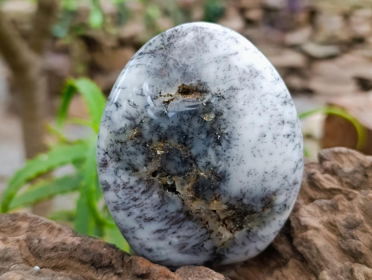 Polished Dendritic Opal Standing Free Forms x 3 From Moralambo, Madagascar