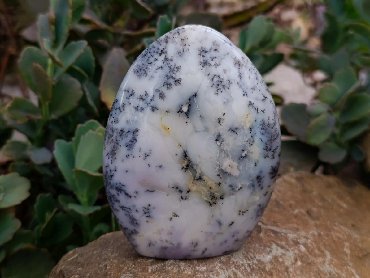 Polished Dendritic Opal Standing Free Forms x 3 From Moralambo, Madagascar
