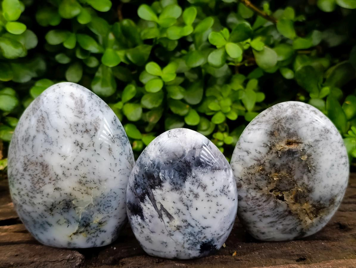 Polished Dendritic Opal Standing Free Forms x 3 From Moralambo, Madagascar