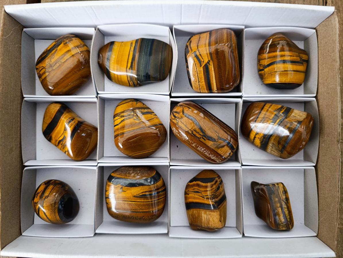 Polished Jumbo Golden Tigers Eye with Banded Iron Stone Free Forms x 12 From Prieska, South Africa