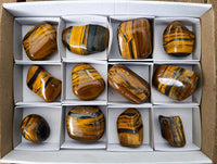 Polished Jumbo Golden Tigers Eye with Banded Iron Stone Free Forms x 12 From Prieska, South Africa