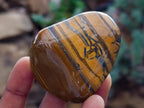 Polished Jumbo Golden Tigers Eye with Banded Iron Stone Free Forms x 12 From Prieska, South Africa