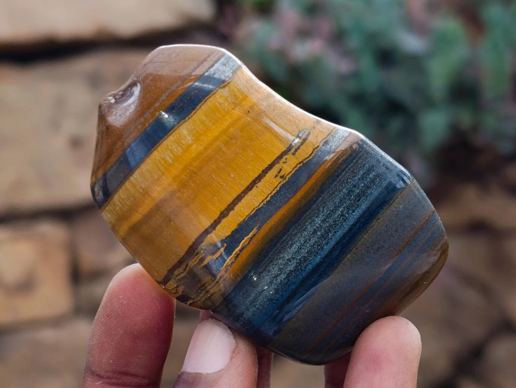 Polished Jumbo Golden Tigers Eye with Banded Iron Stone Free Forms x 12 From Prieska, South Africa