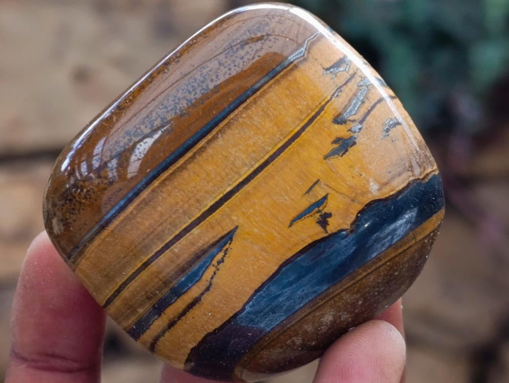 Polished Jumbo Golden Tigers Eye with Banded Iron Stone Free Forms x 12 From Prieska, South Africa