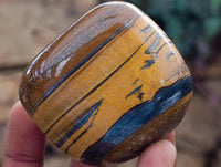 Polished Jumbo Golden Tigers Eye with Banded Iron Stone Free Forms x 12 From Prieska, South Africa