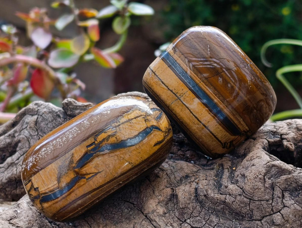 Polished Jumbo Golden Tigers Eye with Banded Iron Stone Free Forms x 12 From Prieska, South Africa