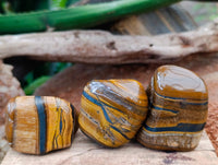 Polished Jumbo Golden Tigers Eye with Banded Iron Stone Free Forms x 12 From Prieska, South Africa