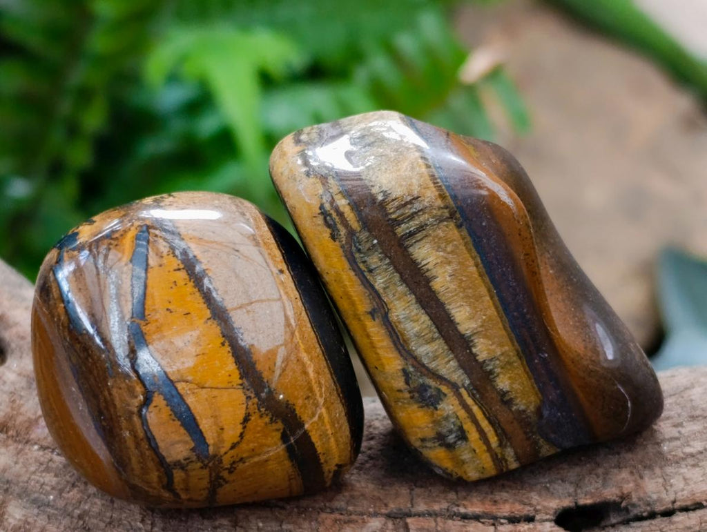 Polished Jumbo Golden Tigers Eye with Banded Iron Stone Free Forms x 12 From Prieska, South Africa