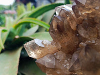 Natural XL Clear Smokey Citrine Quartz Cluster x 1 From Luena, Congo